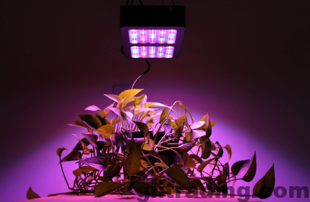 LED grow light for blog